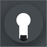 Central locking blind switch/push button for DIN cylinder A.x/C.x anthracite