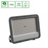 NOCTIS MAX 2 NAŚWIETLACZ 100W NW 230V 85ST IP65 264X218X35 MM SZARY 5 LAT GWARANCJI