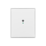 Rocker, 1gang, with “Light” icon