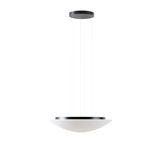 LED-2L43C07ZLE11/084/L100 C 3000