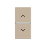 Rocker cover blind symbol - 1M - Champagne