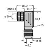 Field-Wireable Connector Female Connector M12 × 1, Angled   BMWS8251-8.5