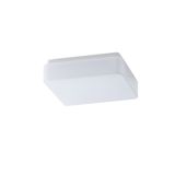 TILIA 1A LED-1L31C03NU1/PC31 DALI 4000