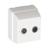 EQUAL R-TV SOCK F/STAR CONNEC(TERM TYPE)WHITE