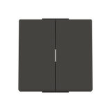 Rocker 2 gang switch/push