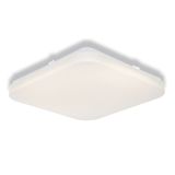 CEILING SQUARE SEN 24W 865 IP20 OSRAM