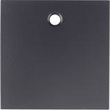 Centre plate for pullcord switch/pullcord push-button, B.3/B.7, ant.,