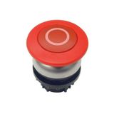 M22-DRP-R-X0 Mushroom actuator, RMQ-Titan, Mushroom, maintained, Mushroom red, red, inscribed, Bezel: titanium