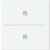 Cover for blind icon 2g. Push-button keypad 63
