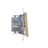 SOON ON SALE, roller blind push button 1-0-2, (module), Simon 24, IP20/IP44, 10A, cashmere