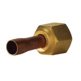 T2/TE2 Adapter