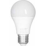 LED Bulb E27 3W P45 3000K 200° 230Lm MAT