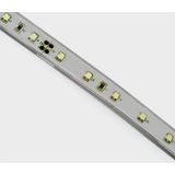 LED strip 24vDC BLUE OUTDOOR 5m ROLL 4,8w/m IP68