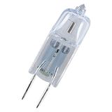 64445 U AX 50W 24V GY6.35 40X1