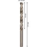 Metal drill bits HSS-G, DIN 338 7,9 x 75 x 117 mm 10 pcs.