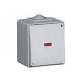 SINGLE POLE SWITCH WITH PILOT LAMP