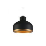 Ceiling fixture GOLDI 1,4090,AC220-240V,50/60Hz,1*E27, IP20, Diameter 30 CM,single,black/gold