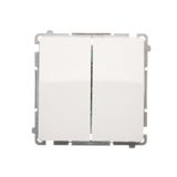 Two gang switch, (module), 10AX, quick connection, white