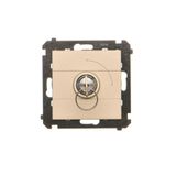 Single switch with a key - 2 positions "0-1", champagne matt, 5A