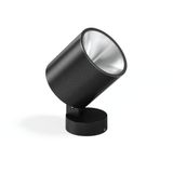 Andho Midi, 41 W, 3750 lm, 830, anthracite, DALI Spotlights, L 199 B 1