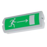 HELIOS LED IP65 M1h emergency light. and orientation lighting with an LED module