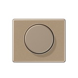 Afdekking draaidimmer SL500 goudbrons