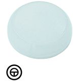 M22-XL-W-X11 Lens, indicator light white, flush, inching symbol