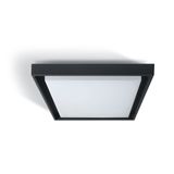 ANTHRACITE PLAFO LED 30W WW IP54 230V