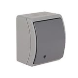 VW-4 Koala Intermediate Switch surface mounted IP44 gray/graphite VW 154-08