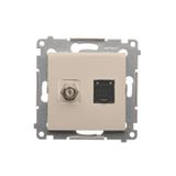 Aerial socket type "F" + computer socket RJ45 cat.6, cream white/electro white