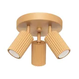 REFLECTORS ON A GOLDEN ROUND CARBON ROSETTES 3XGU10