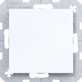 Blank plate with central plate, A.x/C.x, light white glossy