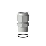 Cable gland plastic IP68 PG11 RAL 7035