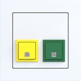 Switch-off/presence button with cover frame, A.x/C.x, light white glass.