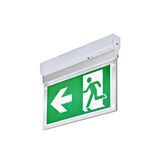 P-LIGHT,wall ceiling light, 6000K, 3W, wh/transparent