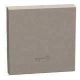Light Now - switch cover key 2m stone