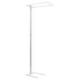 SL720LED SLL 65 S/C 840 WH9016 TD MP