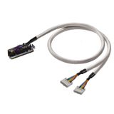 PAC-CJ1W-2X10-V2-10M