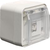 Cat 6 data connector with housing, W.1, polar white