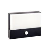 Kerberos LED light with motion sensor, 9W, 4000K, IP65, black color