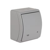 VW-6L Koala Single Push Button - Light with illumination surface mounted IP44 gray VW 156-53