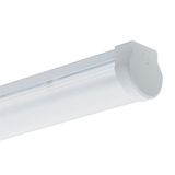LED BELTR LED 3200lm/840 1.4ft IP44
