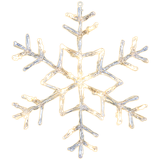 Snowflake Antarctica