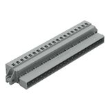 1-conductor male connector CAGE CLAMP® 2.5 mm² gray
