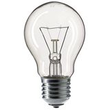 Bulb E27 60W G45 70mm 24V CL 892745355