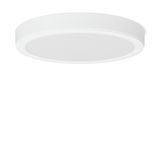 TOLEDO FLAT round, 30 W, 3450 lm, 830, white, DALI Surface mounted dow