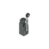 Position switch with adjustable lever and roller
