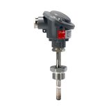 Temperature transmitter, MBT 5252, 100 mm, G,1/2
