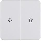 Rocker 2gang imprinted arrow symbol, splash-proteced flush-mtd IP44, p