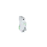 Ex9BLG 1P C10A EU circuit breakers